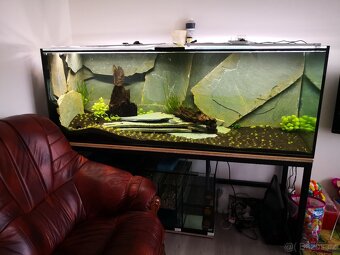 Akvárium cca 900litrů - 9