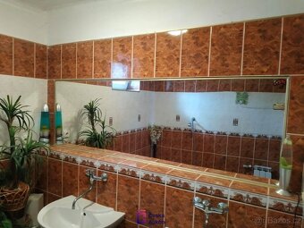 Prodej rodinné domy, 370 m2 - Dolany nad Vltavou - 9