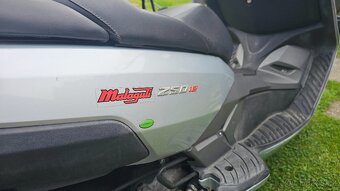 Malaguti Madison 3 250 ie 16kw 22hp - 9