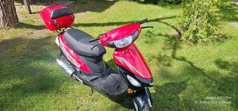 Skútr 50ccm bez TP - 9