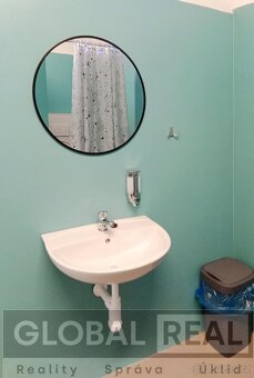 Pronájem ubytovacího zařízení v Pavlínově u Měřína - 9