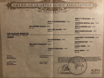 AQH hřebeček 2025 - 9