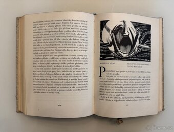 Bílá velryba - Herman Melville - 9