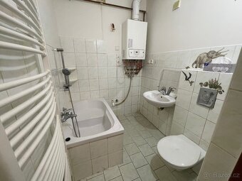 Pronájem bytu 2+1 Šternberk - 9