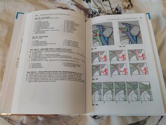 Nový atlas topografické anatomie - Werner Platzer - 9