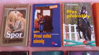 Knihy pro dívky - 9