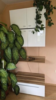 Nábytek do obývacího pokoje, tv stolek, komoda, regál - 9