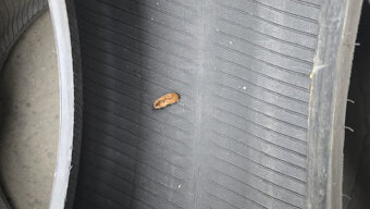 Letní pneumatika 215/55/17 Bridgestone - 9