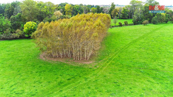 Prodej lesa, 1461 m², Skřivany - 9