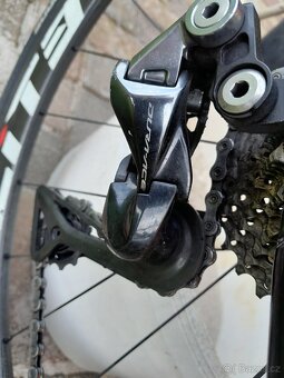 Cipollini - 9