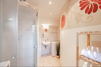 Pronájem bytu 1+1, Praha-1, 45 m² bez realitky - 9