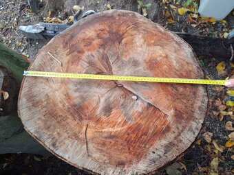 Špalek na štípáni dřeva - bukový - 9