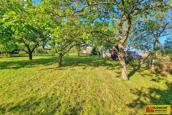 Dobšice, zahrada, ovocné stromy, zahradní domek, 721 m², – - 9