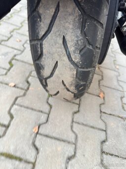 Indian Chief Dark Horse - 9