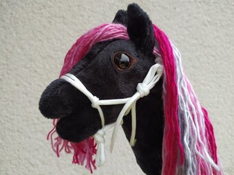 Hobby horse - 9