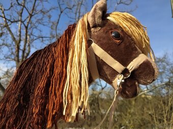 Hobby horse - 9