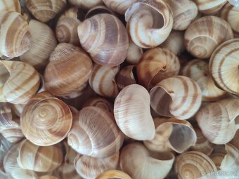 Velikonoční dekorace - 9