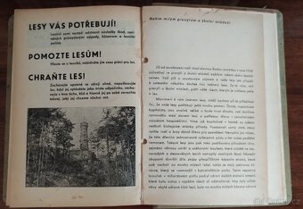 (Antikv.)Lesnická práce, časp. SET 12 - 9