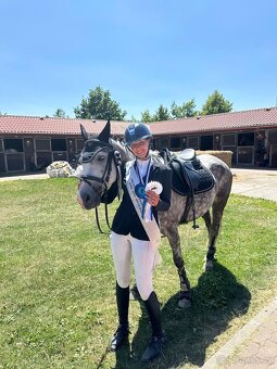 ⭐️ Krásný valášek na prodej ⭐️ - 9