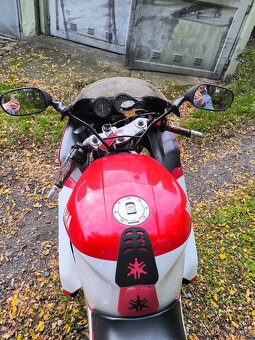 Yamaha YZF 1000 R ThunderAce - 9