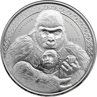 Stříbrná investiční mince Kongo Gorila 1 Oz 2015 až 2023 - 9