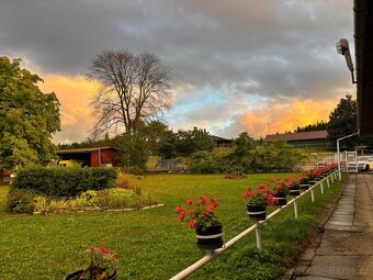 Boxové Ustájení - 9