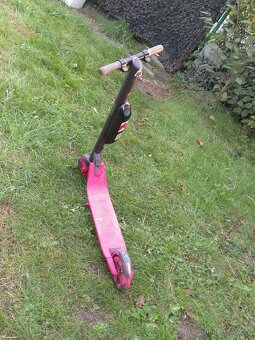 Koloběžka segwai ninebot - 9