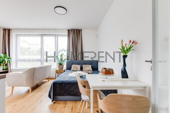 Pronájem bytu 1+kk (30.4 m²), Praha - ul. Závišova - 9