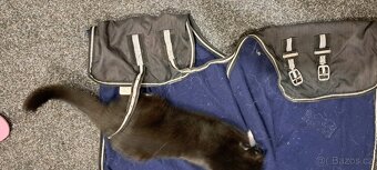 Pony výprodej LEVNĚ - 9