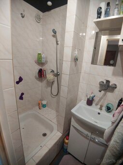 Prodej bytu 2+1 se zahradou ve Veselí nad Lužnicí - 9