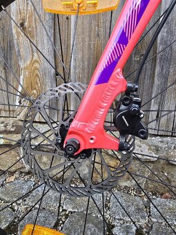 Amulet Youngster 24 - 9