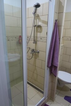 Prodej bytu 1+1 Dukelská, Hlučín, osobní vlastnictvíí - 9