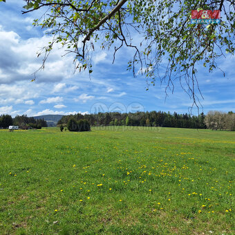 Prodej louky, 5 959 m², Zdíkov - 9