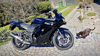 Kawasaki Ninja 250 R - 9