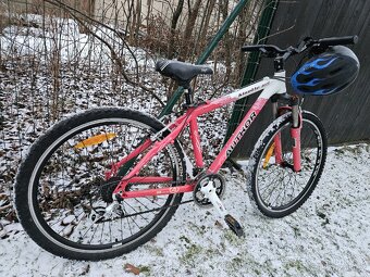 Dívčí kolo AUTHOR - 9