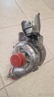 Turba na repas, různé druhy - 9