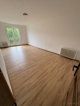 Pronájem 2+1 citice - 9