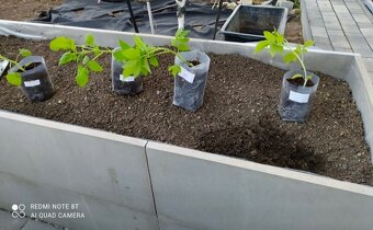 Cetris desky cementotřískové - 9