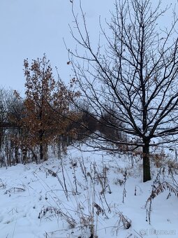 Údržba zeleně - 9