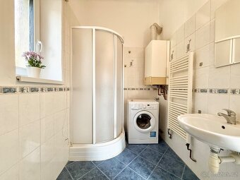 Dlouhodobý pronájem prostorného 1+1, 65 m2, zahrádka, cihla - 9