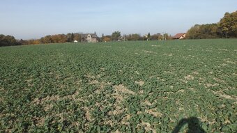 Orná půda O.- Bartovice, cca 25.000m2, rovina, 59 Kč/m2. - 9