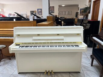 Bílá Yamaha B1 se zárukou 5 let, doprava zdarma. - 9