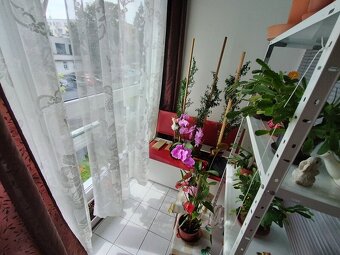 Prodej zděného bytu 3+kk/L v Polabinách II - 9