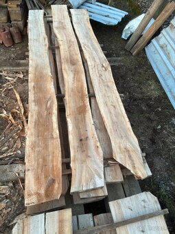 Jilm fošny, prkna - 9