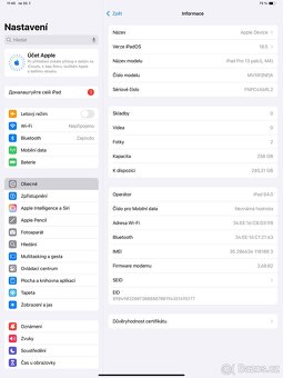 Ipad Pro 13 M4 256gb Cellular - 9