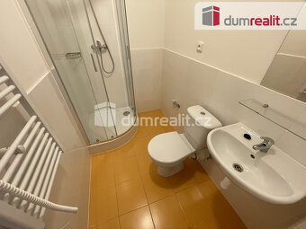 Pronájem bytu 1+kk 45 m2 P5 Smíchov po rekonstrukci loft cih - 9