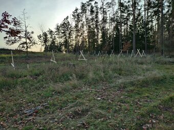 Stavba lesních oplocenek - 9