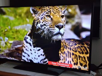 Smart TV 43"(109cm) - DVB-T2, Wi-Fi - - - 9