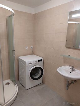 Pronajem 3kk Dašice - 9