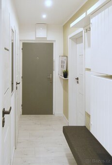 Pronájem vybaveného bytu, po celkové rekonstrukci, 1+1, 40m2 - 9